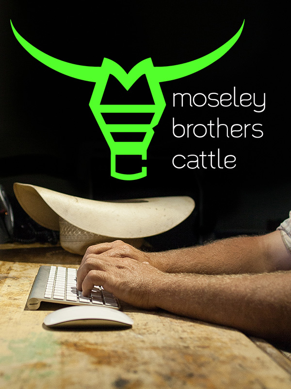Moseley-brothers-cattle-graphic-design